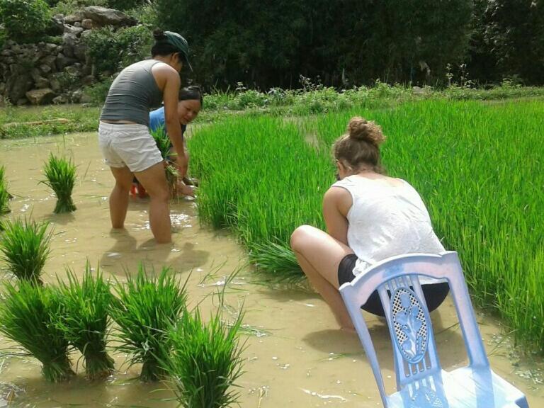 Yen Nhi Homestay Ban Gioc Каобанг Екстер'єр фото